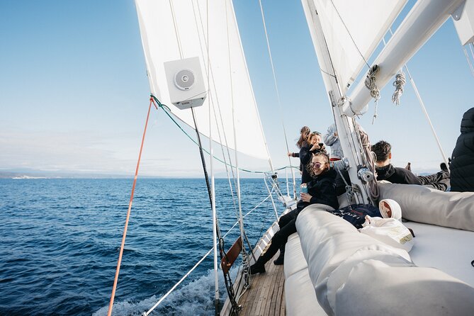 Maori Rock Carvings Eco Sailing Taupo - Is $33.54 good value?