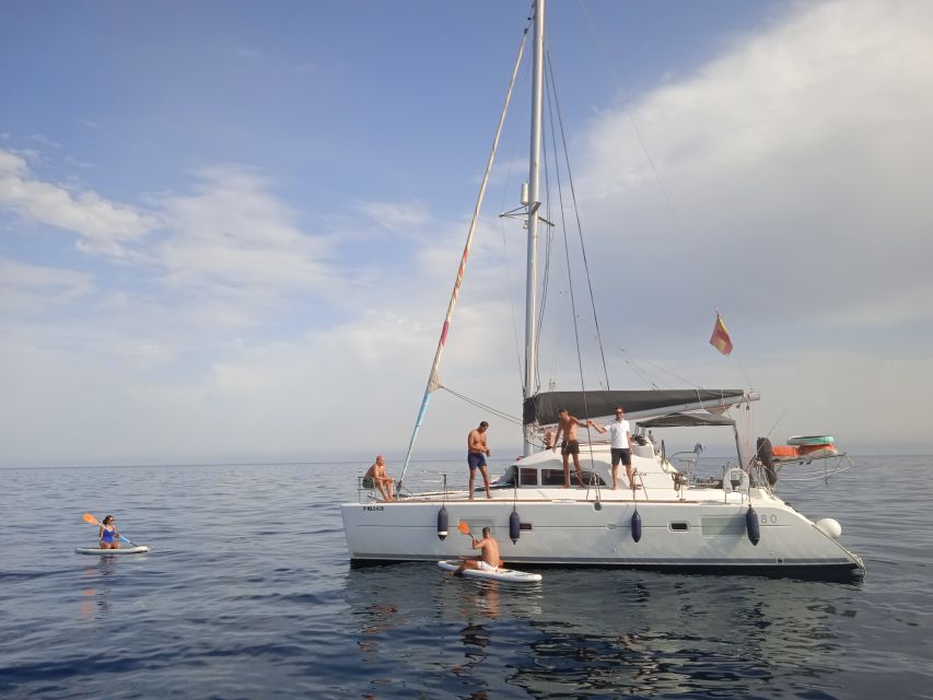 Marbella: Group Dolphin Watching Catamaran Tour with Snacks - Service, Communication, and Comfort