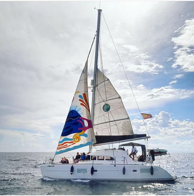 Marbella: Group Dolphin Watching Catamaran Tour with Snacks - Looking for Dolphins Without False Promises