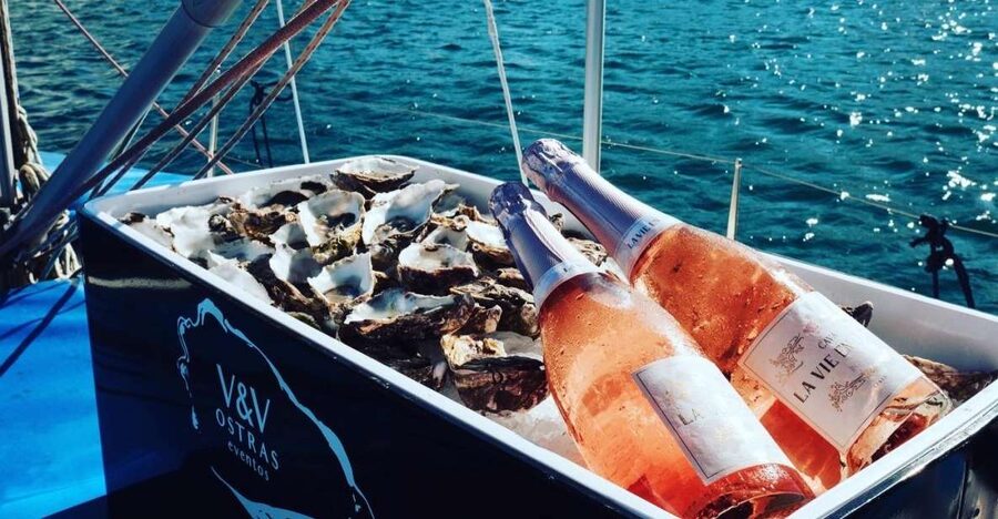 Marbella: Puerto Banús Private Sailing Cruise with Drinks - What happens once you leave the marina