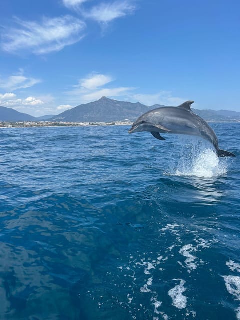 Marbella: Sailing & Dolphin Watching with Snacks and Drinks - Looking for dolphins in open water