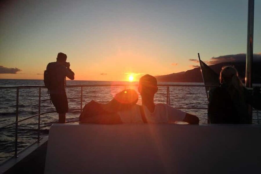Marseille: Sunset catamaran cruise, buffet & drinks - Is the $72 price good value?