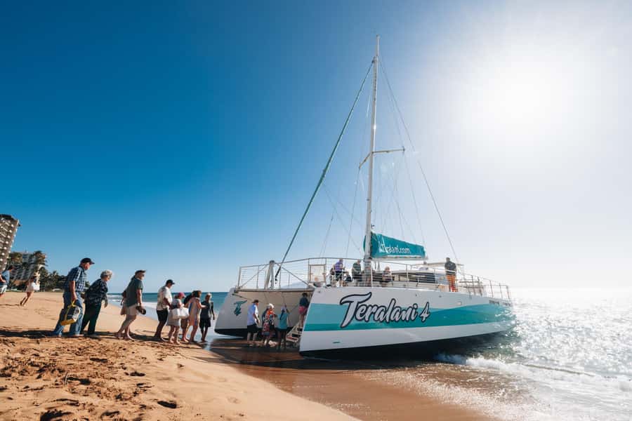 Maui: Ka'anapali Whale Watching Cruise on Luxury Sailboat - Mothers, calves, dolphins, and other possible sightings