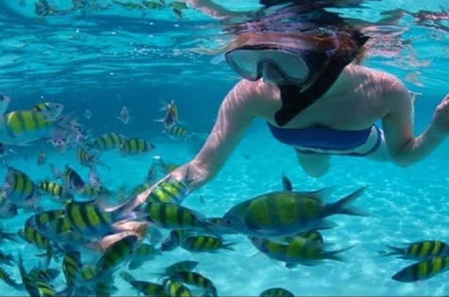 Mauritius: Catamaran cruise to 3 Northern Isles with lunch - Gabriel Island, the main beach stop