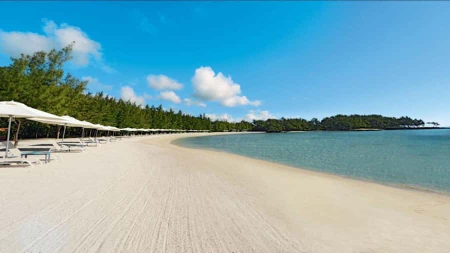 Mauritius: Ile Aux Cerfs catamaran cruise Lunch with BBQ - Who will enjoy this catamaran cruise?