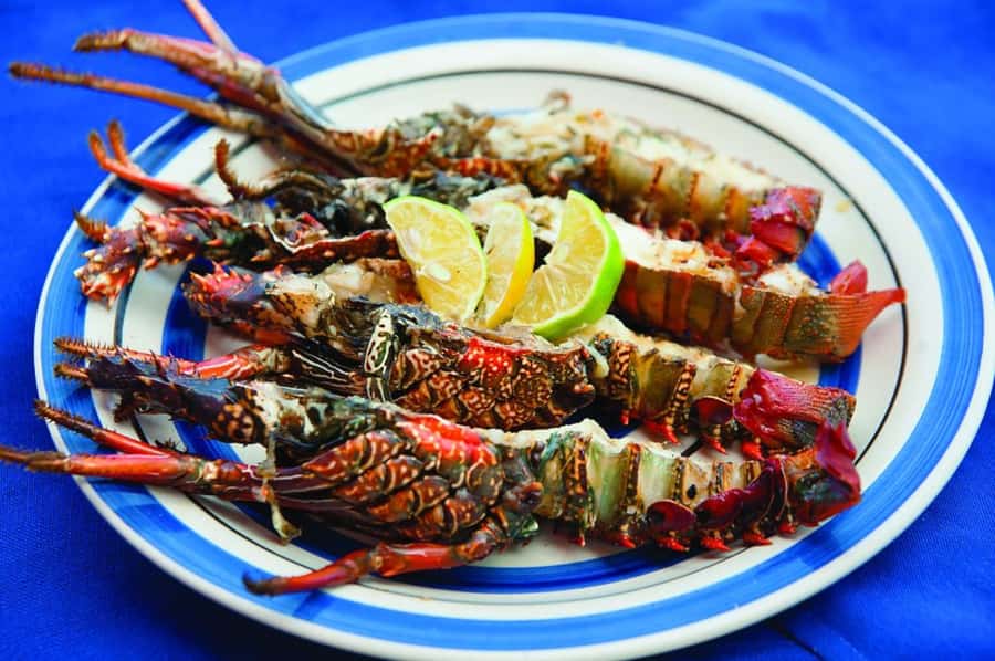 Mauritius: Ile Aux Cerfs Catamaran Trip w/ Lunch & Transfer - Setting sail on the 42-foot catamaran