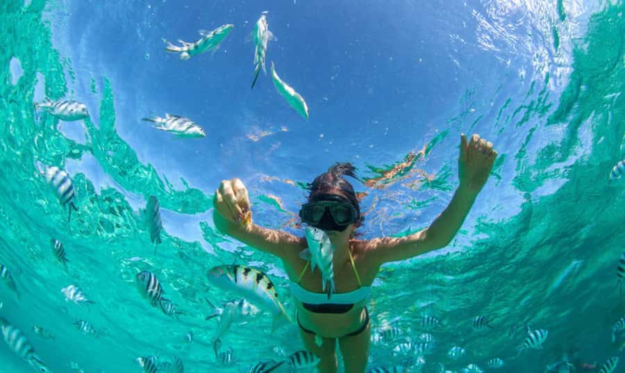 Mauritius: Ile Aux Cerfs Catamaran Trip w/ Lunch & Transfer - What $110 buys you