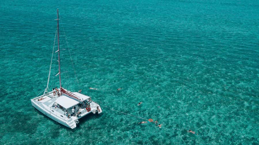 Mauritius: Private Catamaran Tour to île aux Cerfs - Families, celebrations, and small groups
