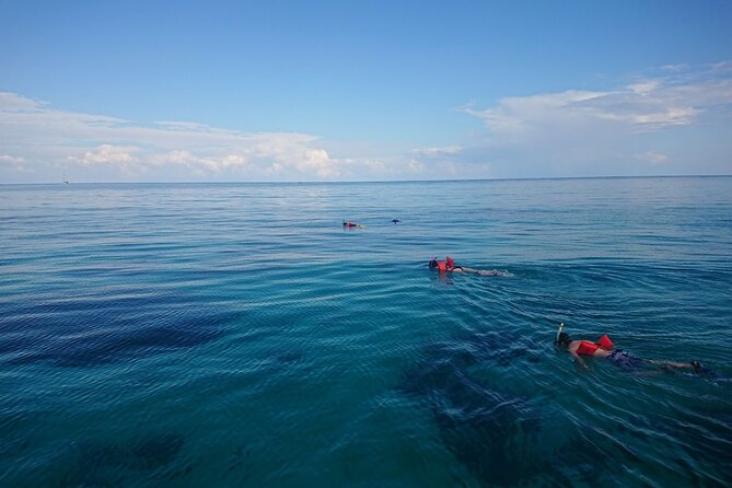 Mexico Rocks Day Sail Shared Guided Tour - Why Mexico Rocks makes a good half-day choice