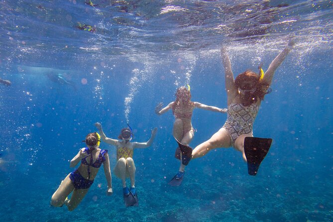 Molokini Snorkel and Performance Sail: Mā’alaea Harbor - Sailing from Mā’alaea Harbor at 7:30 a.m.