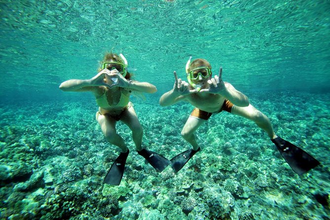 Molokini Snorkel and Performance Sail: Mā’alaea Harbor - Is $200 a fair price?