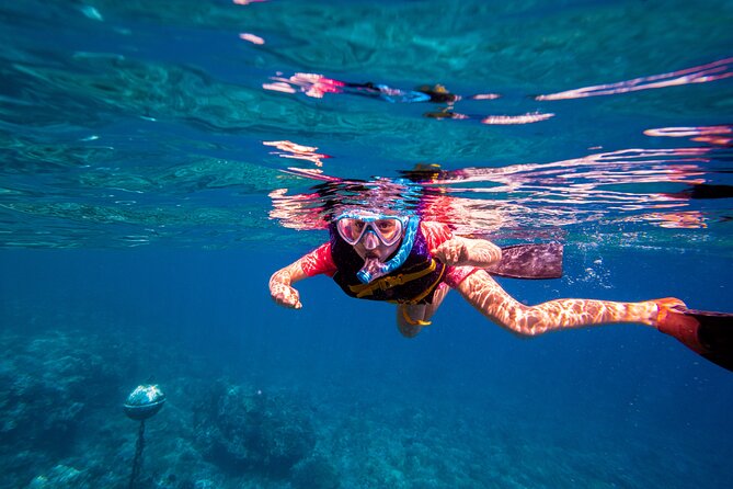 Molokini Snorkel and Performance Sail: Mā’alaea Harbor - Who will enjoy this Molokini trip?