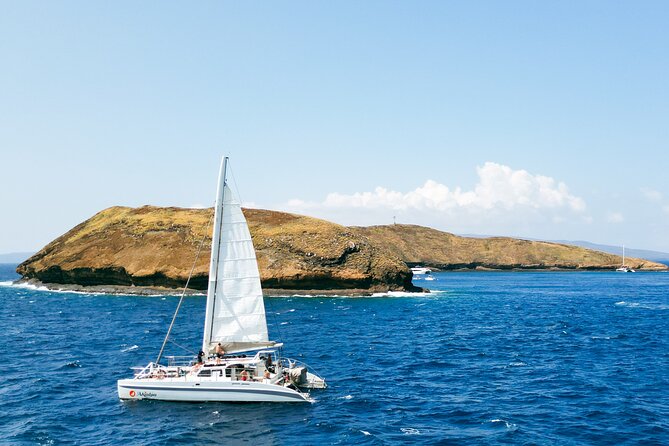 Molokini Snorkel and Performance Sail: Mā’alaea Harbor - Booking, cancellation, and practical details