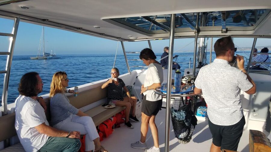 Monterey: Catamaran Sailing Cruise - Should you book the Sail Monterey catamaran?