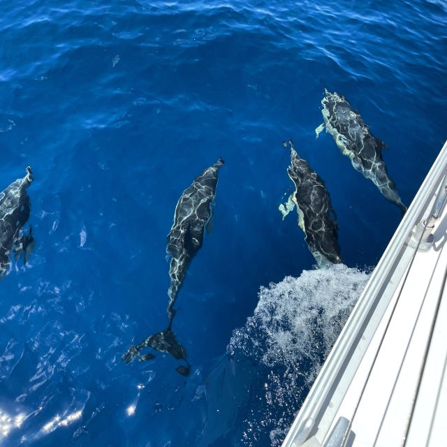 Morro Jable: Sailing Boat Excursion with Food and Drinks - Sailing out from Morro Jable Harbour
