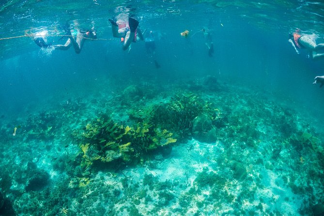 Mujeres Island Tour by Catamaran from Cancun City - Golf carts, taxis, and seeing more of Isla Mujeres