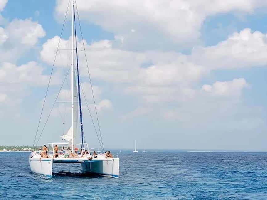 Naples: Catamaran Cruises with Wildlife Views - Naples Bay and Port Royal’s waterfront homes