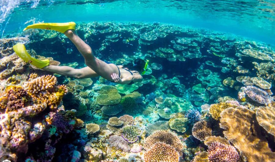 Nassau: Catamaran Sail and Snorkel Tour - What the $103 Price Really Covers