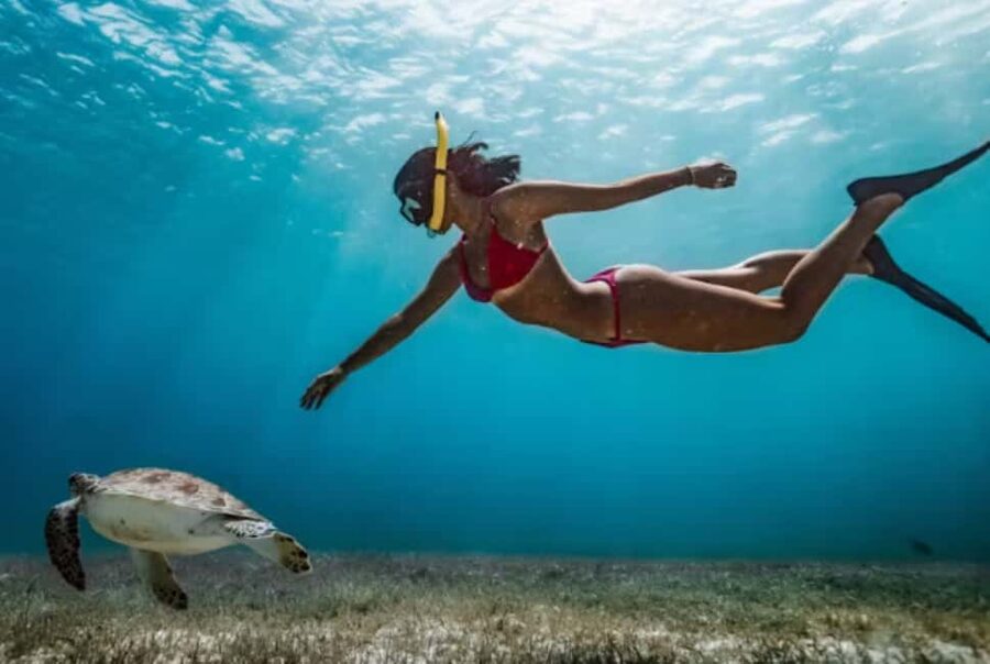 Nassau: Catamaran Sail and Snorkel Tour - What to Pack for the 210 Minutes