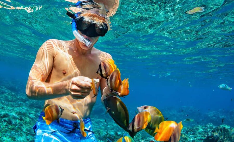 Nassau: Catamaran Sail and Snorkel Tour - Should You Book the Nassau Catamaran Sail and Snorkel?
