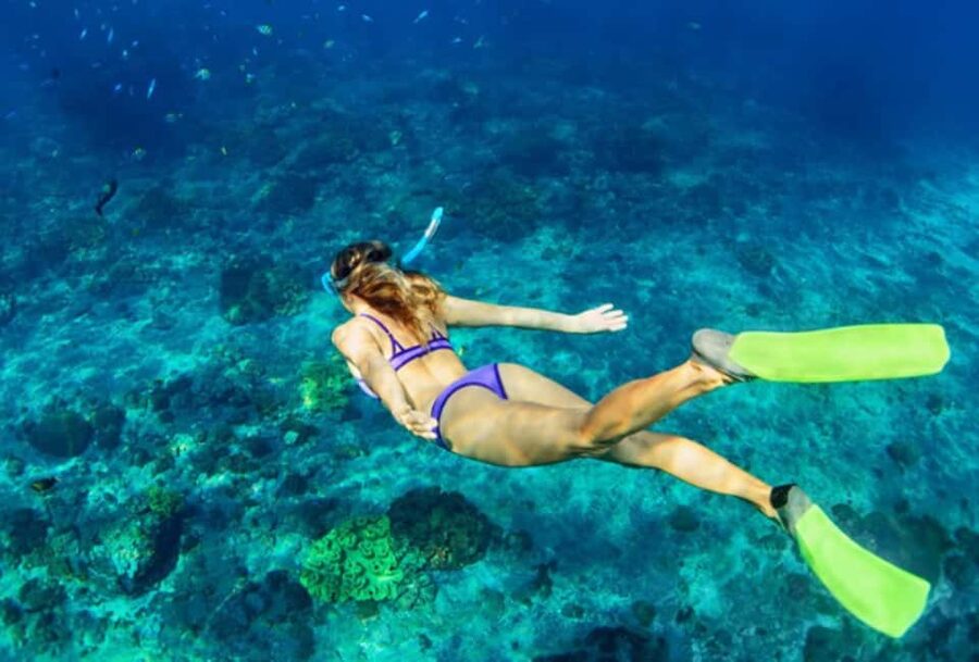 Nassau: Catamaran Sail and Snorkel Tour - Starting at Paradise Island Ferry Terminal