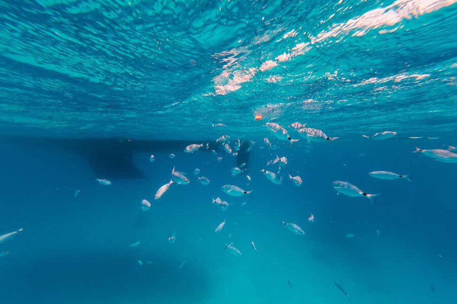 Naxos: Sailing Cruise with Lunch & Drinks - Rough water, cool water, and other honest cautions