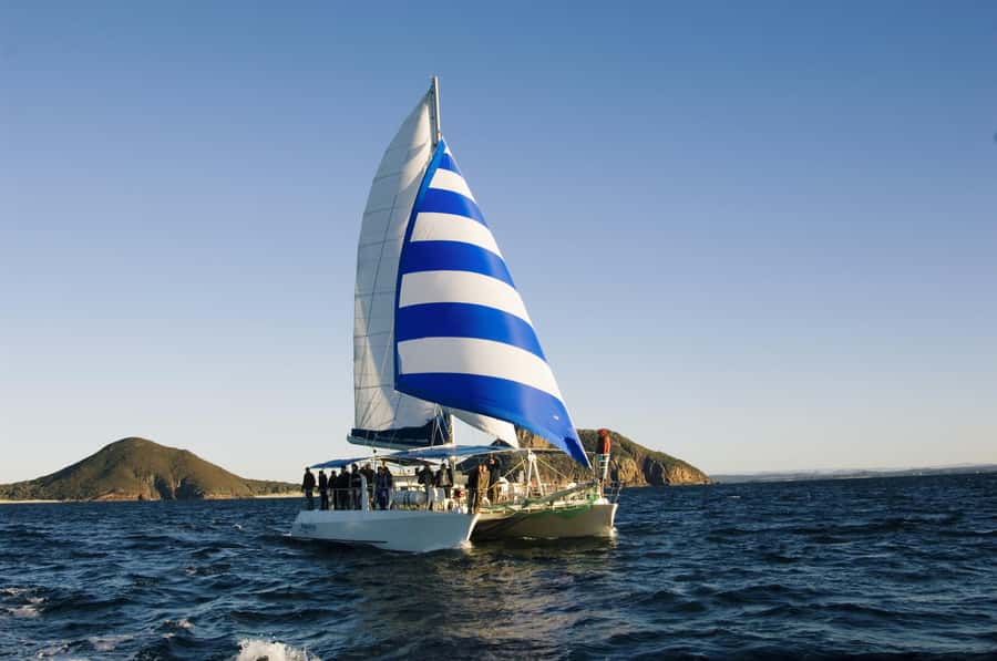Nelson Bay: Dolphin Watch Cruise and Sail - Why this Nelson Bay cruise feels different