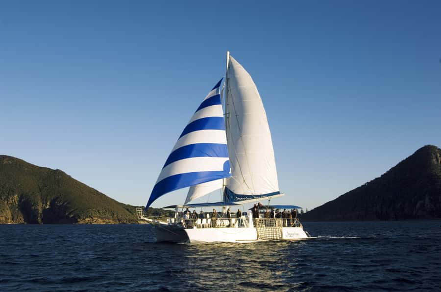 Nelson Bay: Dolphin Watch Cruise and Sail - Is $35 good value?