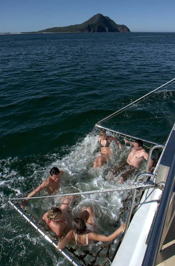 Nelson Bay: Dolphin Watch Cruise and Sail - Accessibility and practical limits