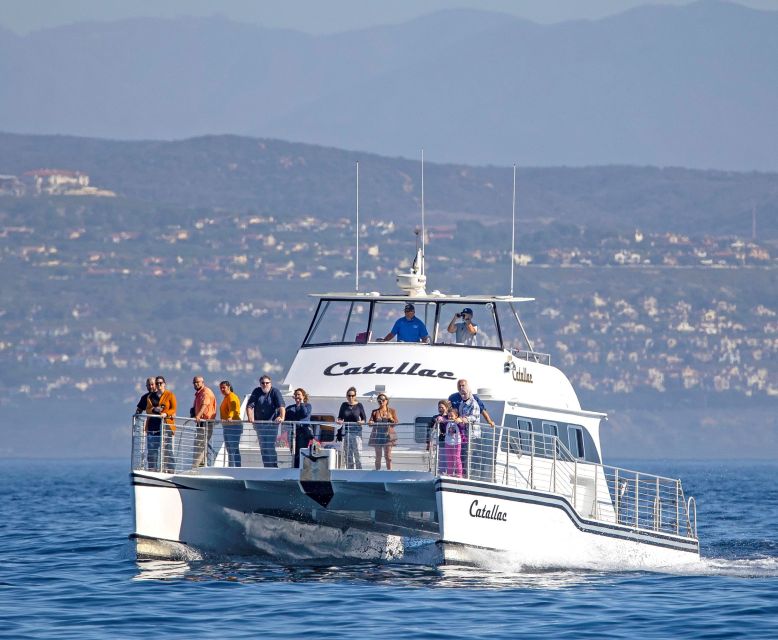 Newport Beach: Luxury Whale Watching Catamaran Cruise - Laguna Beach, The Wedge, and the return trip