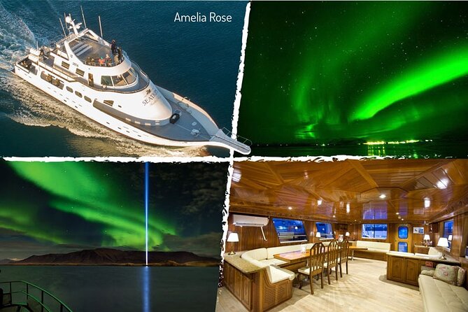 Northern Lights Yacht Cruise in Reykjavik - How the crew handles the aurora search