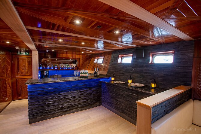Northern Lights Yacht Cruise in Reykjavik - Value at $94 per person