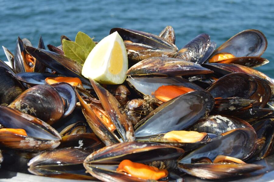 O Grove: Ría de Arousa Catamaran Tour with Seafood Lunch - Who will enjoy this O Grove outing most