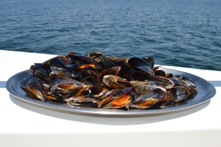 O Grove: Ría de Arousa Catamaran Tour with Seafood Lunch - FAQ
