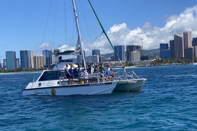 Oahu Catamaran Snorkel Tour: See Turtles 100% Guaranteed - What you can see beneath the boat