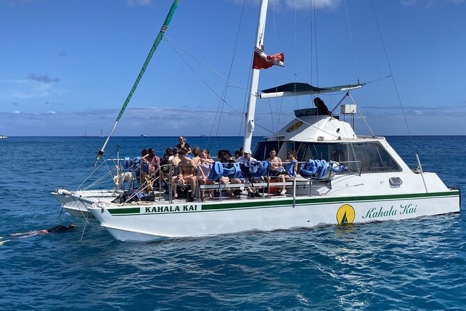 Oahu Catamaran Snorkel Tour: See Turtles 100% Guaranteed - Getting there and planning your day