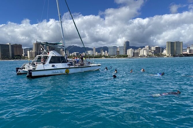 Oahu Catamaran Snorkel Tour: See Turtles 100% Guaranteed - What the two-hour schedule feels like