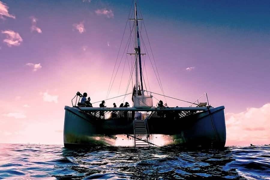 Oahu: Waikiki Sunset Catamaran Sail and Swim - Key points to know before you board