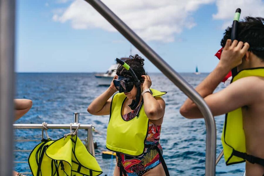 Oahu: Waikiki Turtle Snorkel Sail - Key points to know before you book