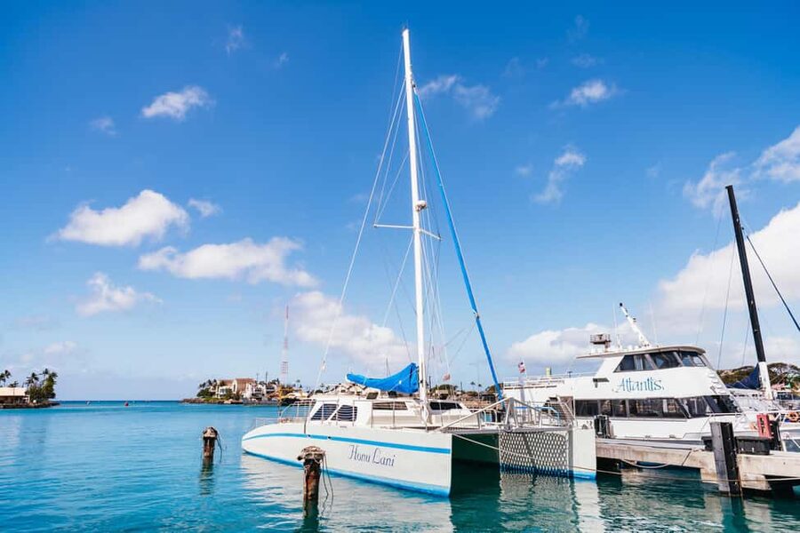 Oahu: Waikiki Turtle Snorkel Sail - Snorkeling at the turtle reef
