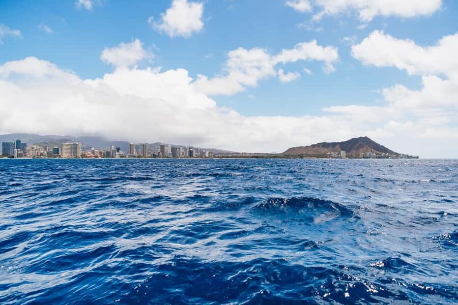 Oahu: Waikiki Turtle Snorkel Sail - Drinks, snacks, and the ride home