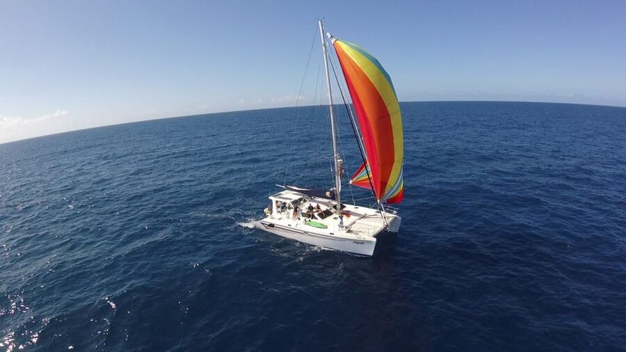 Ocean City: Sailing Catamaran Cruise with Crew - Key points to know before sailing