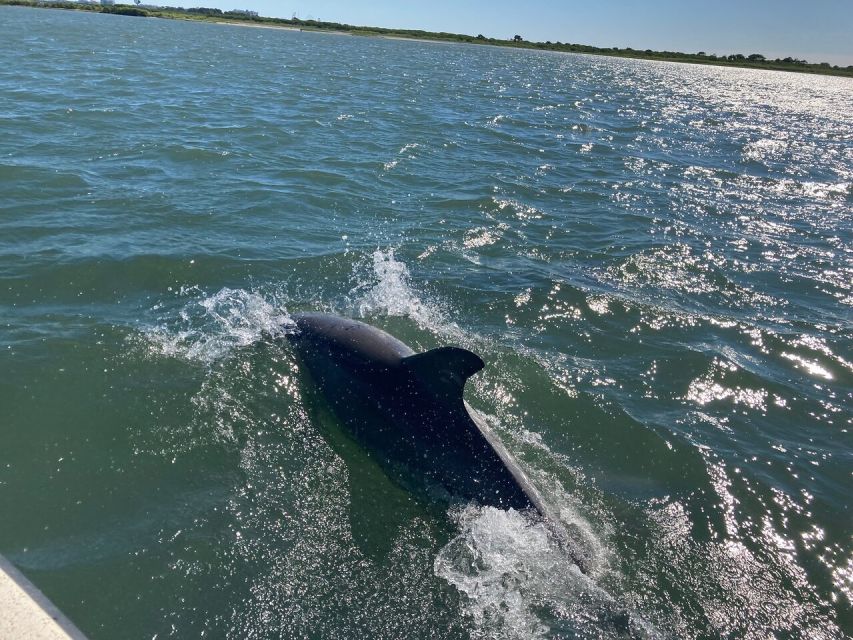 Ocean City: Sailing Catamaran Cruise with Crew - Is $110 a fair price?