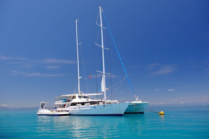 Ocean Spirit Sail to Michaelmas Cay Snorkel or Dive, from Cairns - Why Michaelmas Cay makes a memorable reef stop