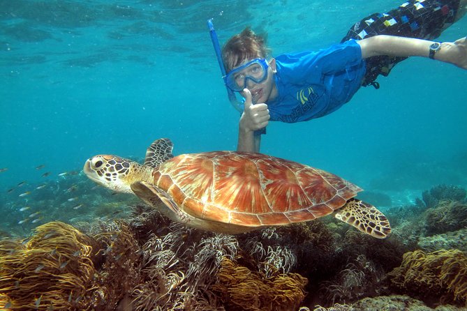 Ocean Spirit Sail to Michaelmas Cay Snorkel or Dive, from Cairns - Four hours at Michaelmas Cay