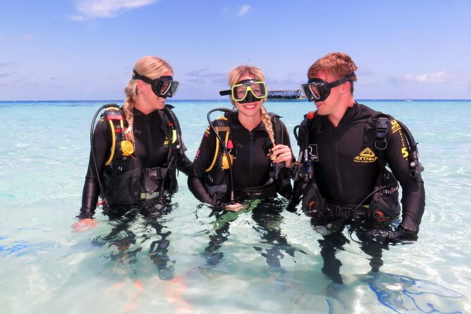 Ocean Spirit Sail to Michaelmas Cay Snorkel or Dive, from Cairns - Guided snorkeling with a marine biologist