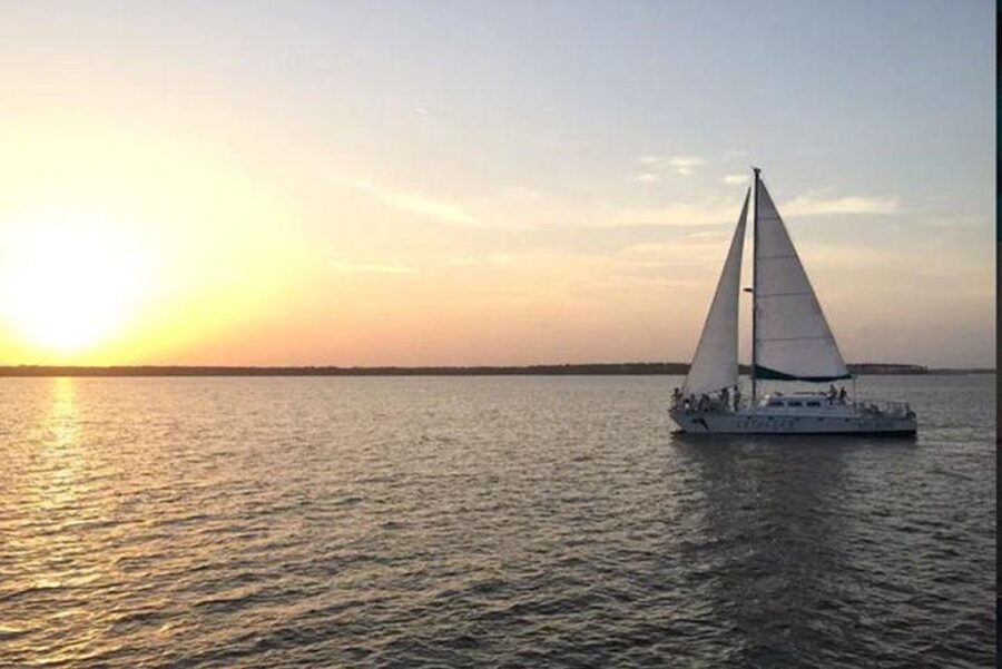 Orange Beach: Dolphin & Sailing Cruise Aboard 52' Catamaran - Sailing Wolf Bay on the Cetacean