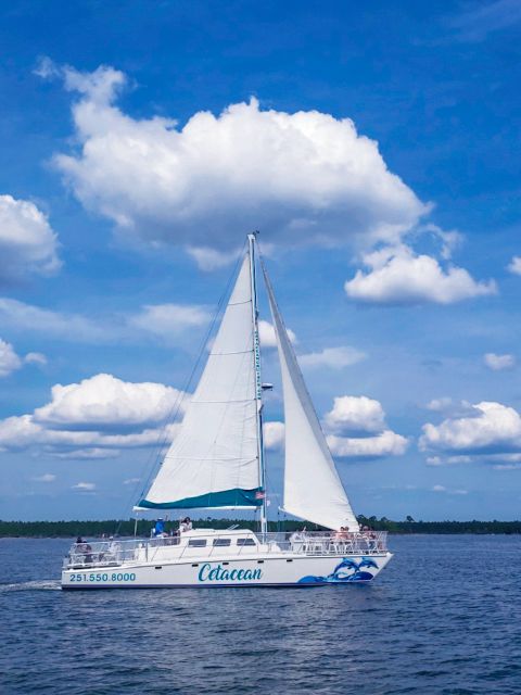 Orange Beach: Dolphin & Sailing Cruise Aboard 52' Catamaran - Dolphins, Fish, and Coastal Birds