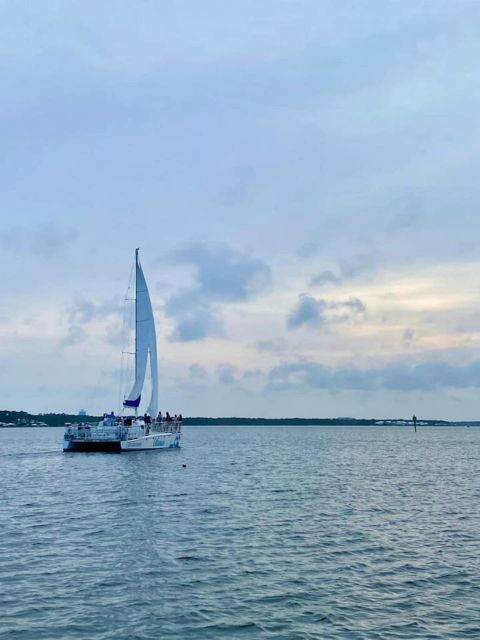 Orange Beach: Dolphin & Sailing Cruise Aboard 52' Catamaran - Why the Catamaran Design Matters