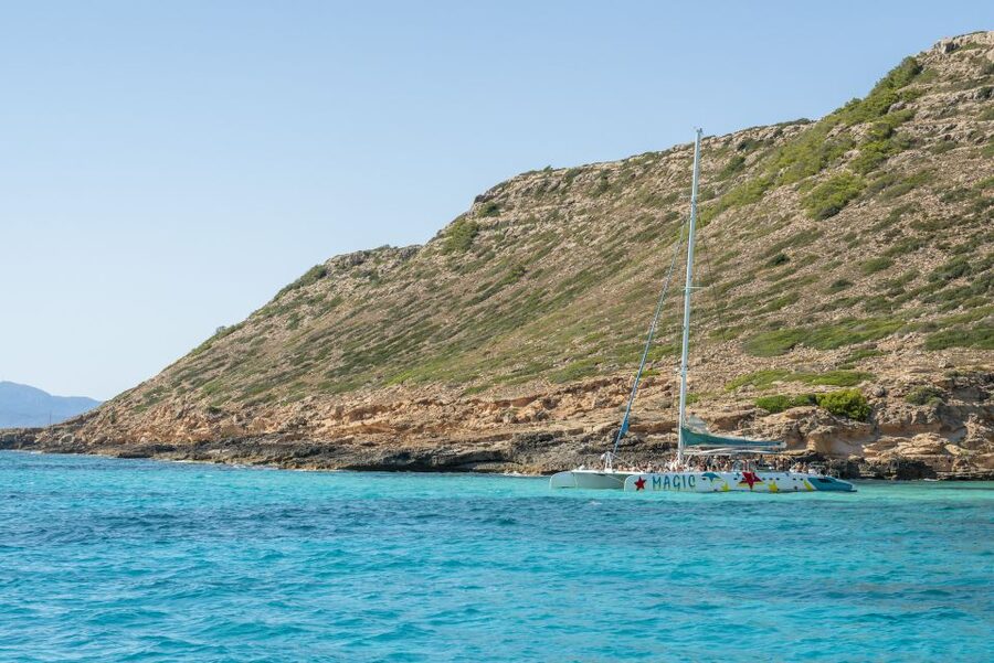 Palma de Mallorca: 5-Hour Catamaran Cruise with Lunch & Swim - Practical details that make the day easier